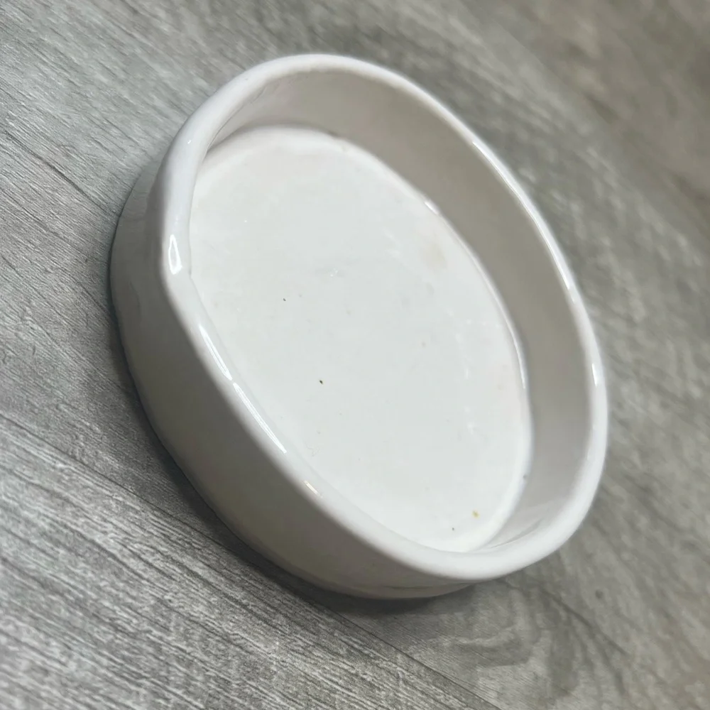 Handmade Circular Ceramic Reptile Dish - Picture 3 of 6